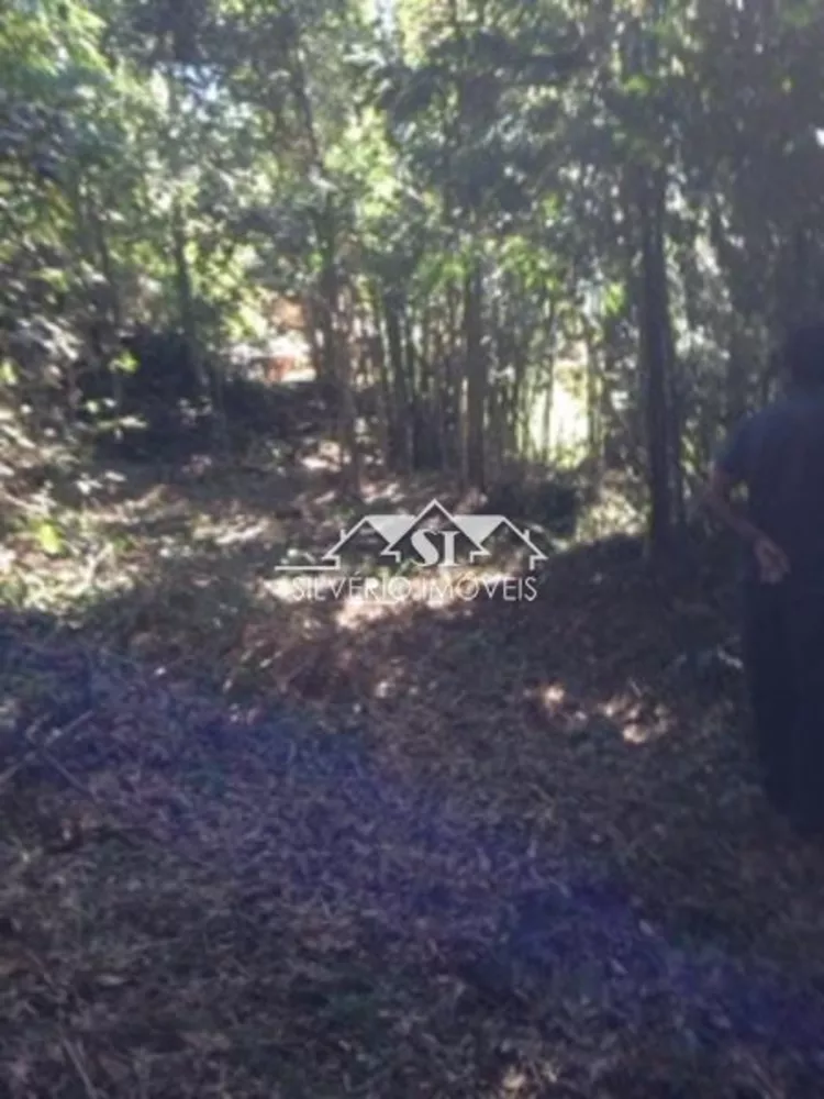 Terreno, 1636 m² - Foto 8