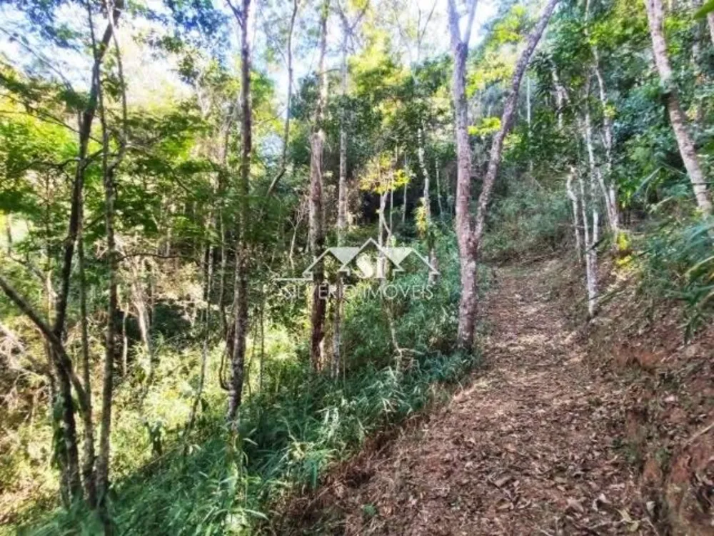 Terreno, 2590 m² - Foto 8