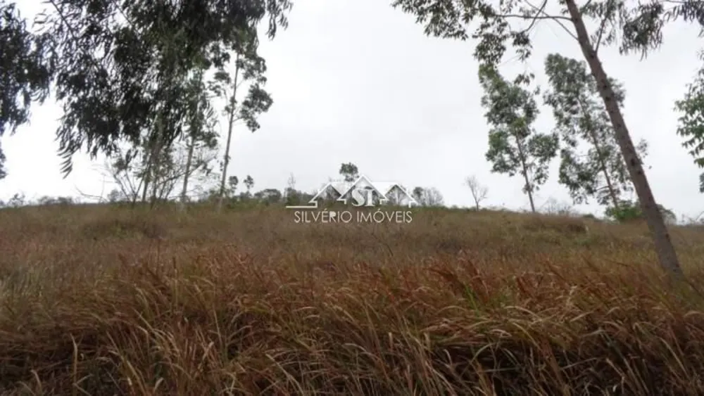 Terreno, 12 hectares - Foto 10