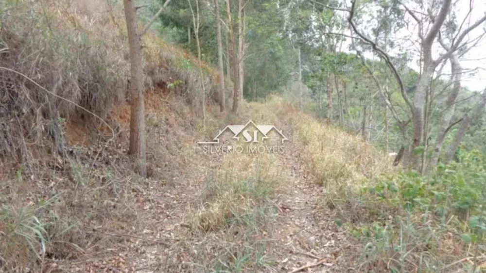 Terreno, 12 hectares - Foto 9