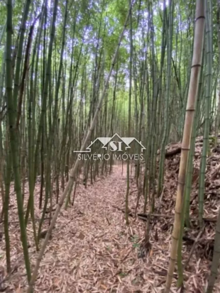 Terreno, 2045 m² - Foto 3