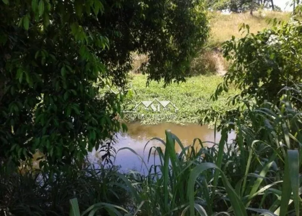 Terreno, 9 hectares - Foto 3