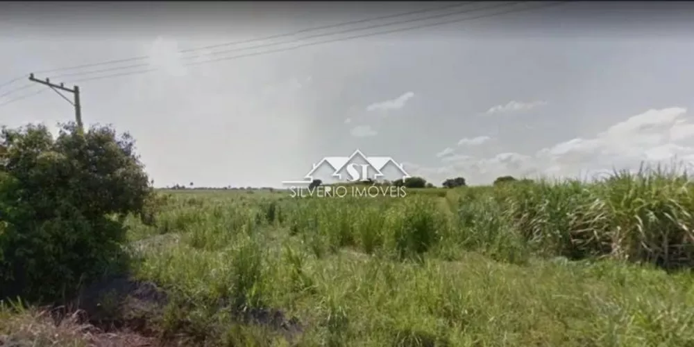 Terreno, 9 hectares - Foto 6