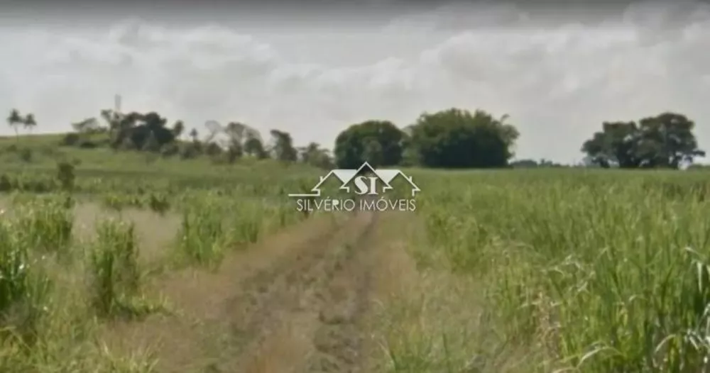 Terreno, 9 hectares - Foto 7