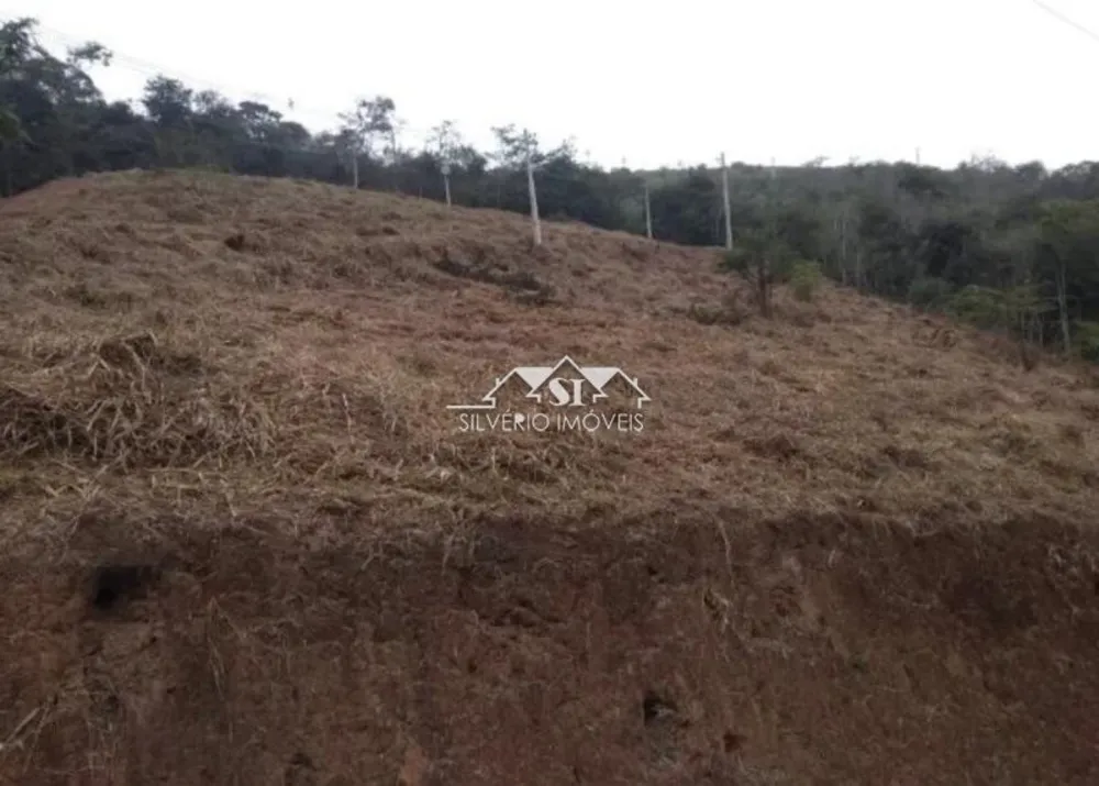 Terreno, 2 hectares - Foto 6