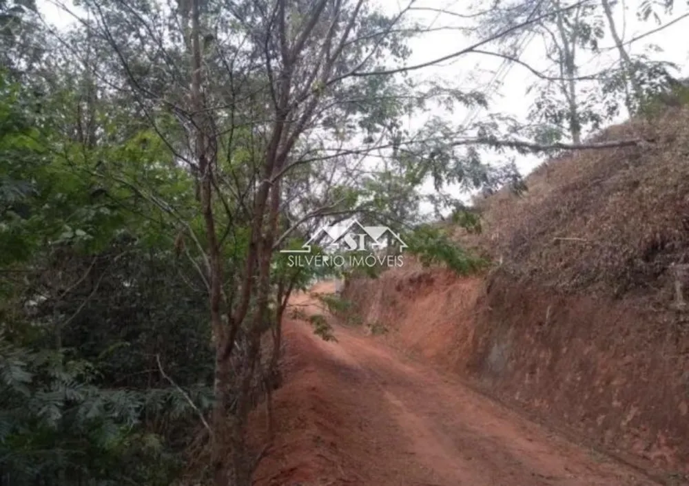 Terreno, 2 hectares - Foto 7