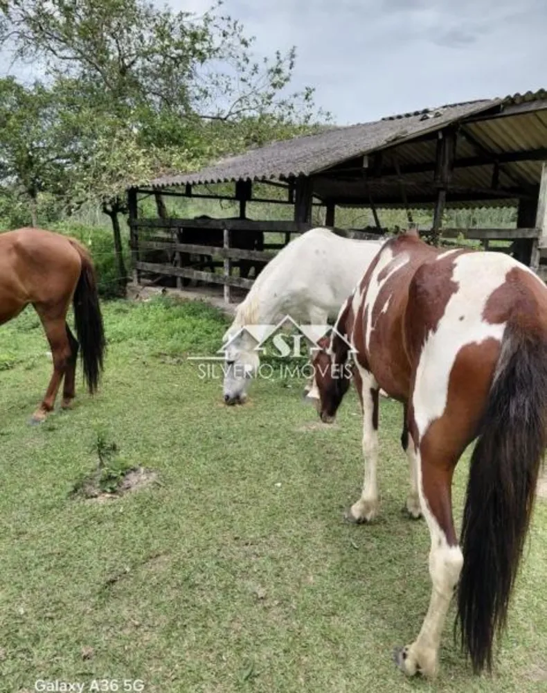 Sítio, 3 quartos, 34 hectares - Foto 12