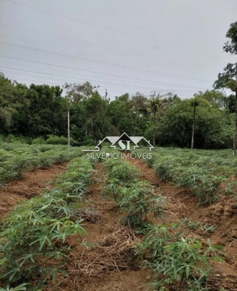Sítio, 3 quartos, 34 hectares - Foto 10
