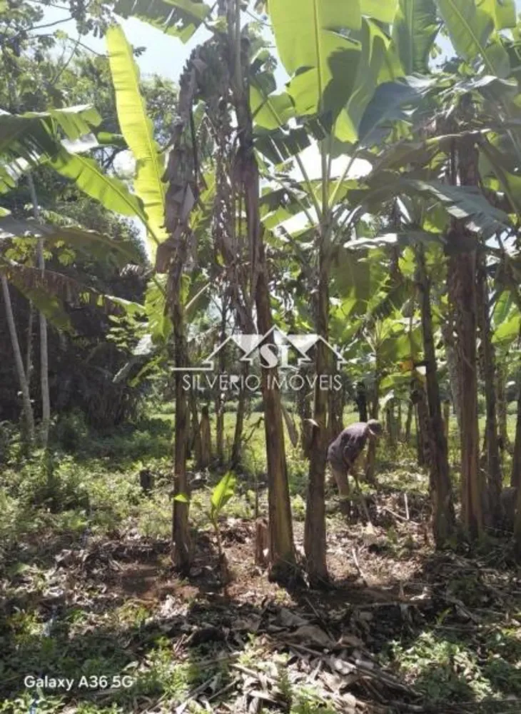 Sítio, 3 quartos, 34 hectares - Foto 7