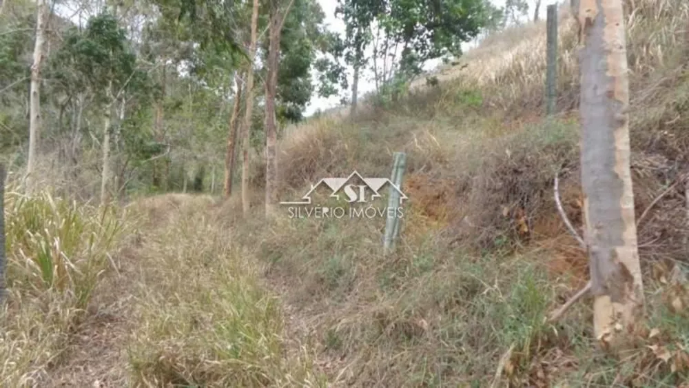 Terreno, 12 hectares - Foto 12