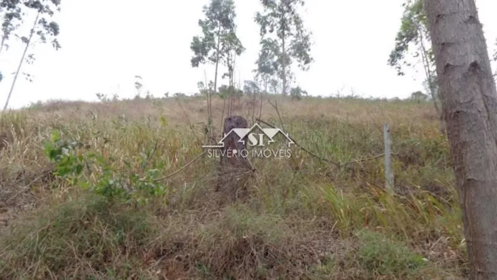 Terreno, 12 hectares - Foto 13