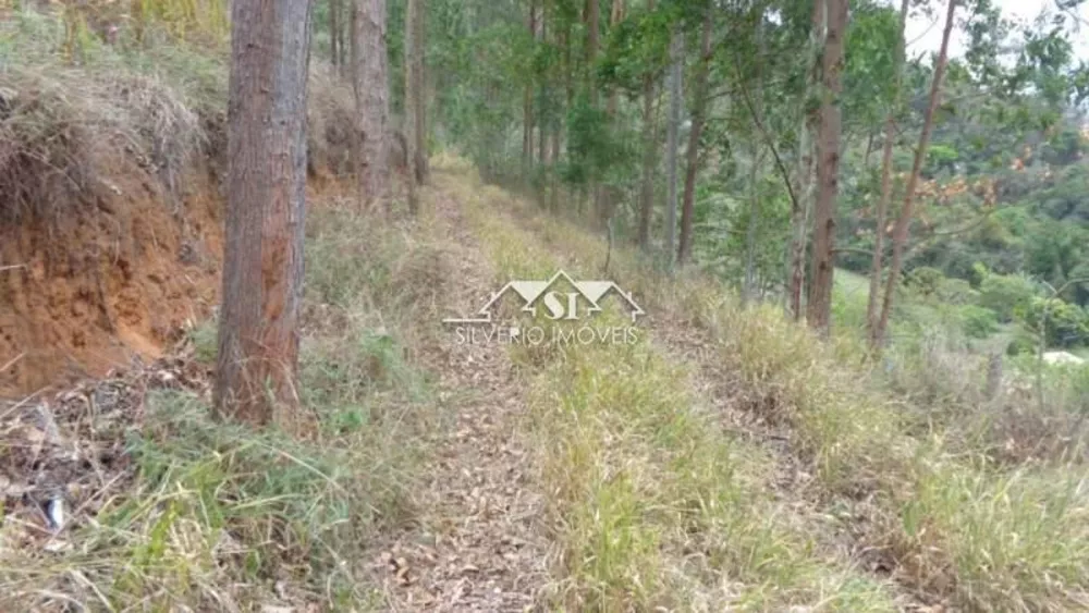 Terreno, 12 hectares - Foto 3