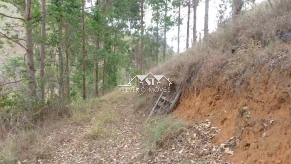 Terreno, 12 hectares - Foto 11