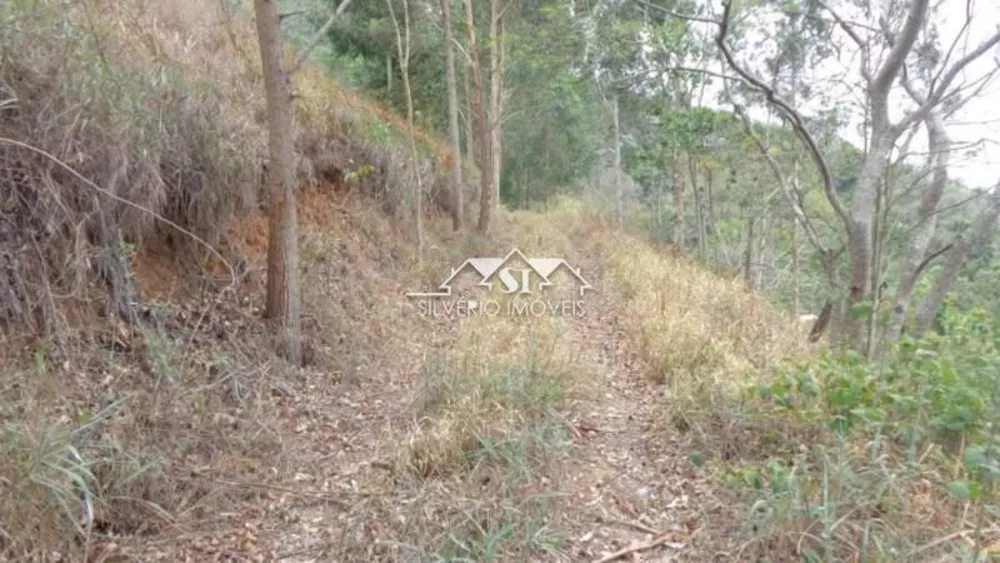 Terreno, 12 hectares - Foto 9