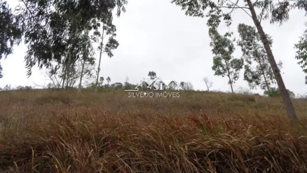 Terreno, 12 hectares - Foto 10