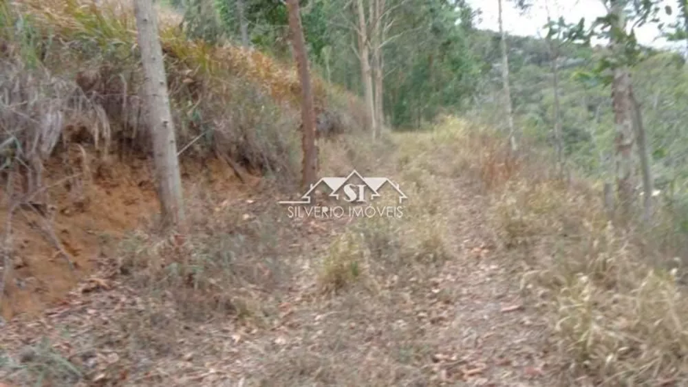 Terreno, 12 hectares - Foto 7