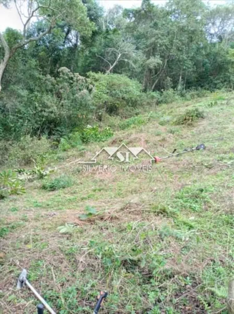 Terreno, 2 hectares - Foto 3