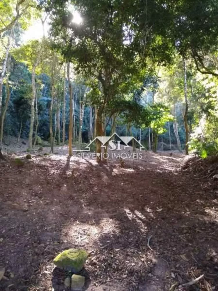 Terreno, 3 hectares - Foto 1