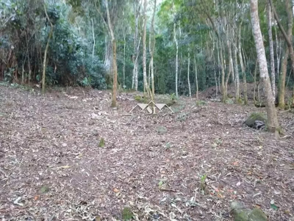 Terreno, 3 hectares - Foto 4
