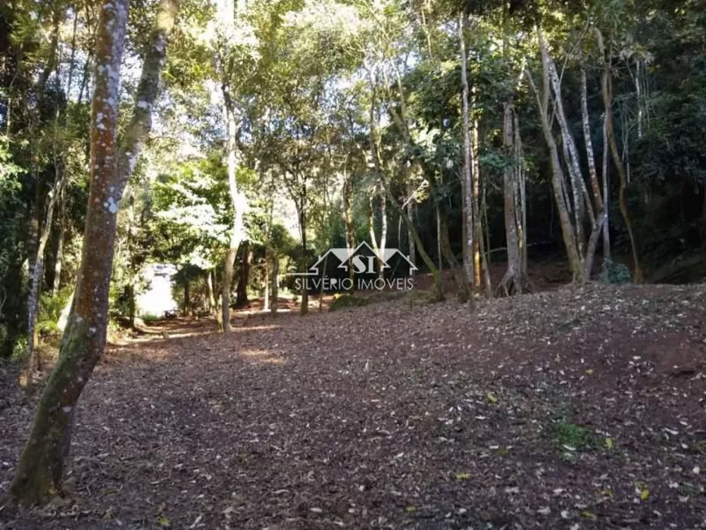 Terreno, 3 hectares - Foto 2