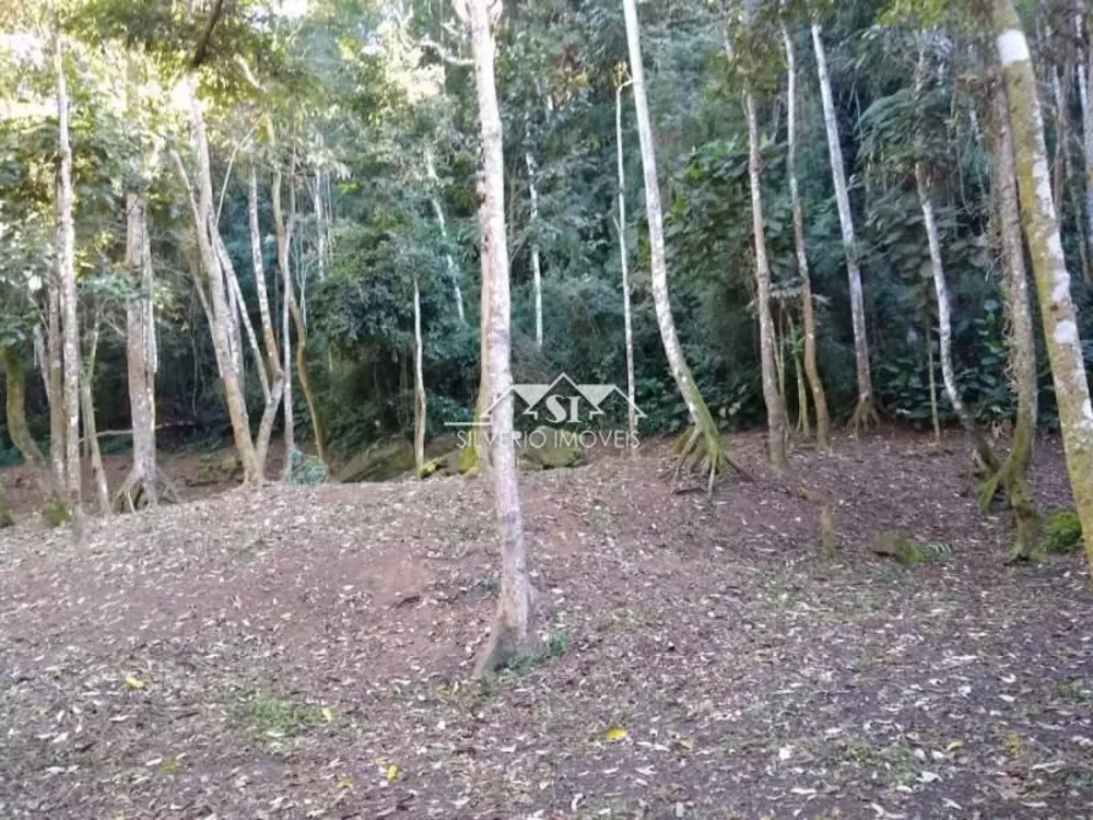 Terreno, 3 hectares - Foto 6