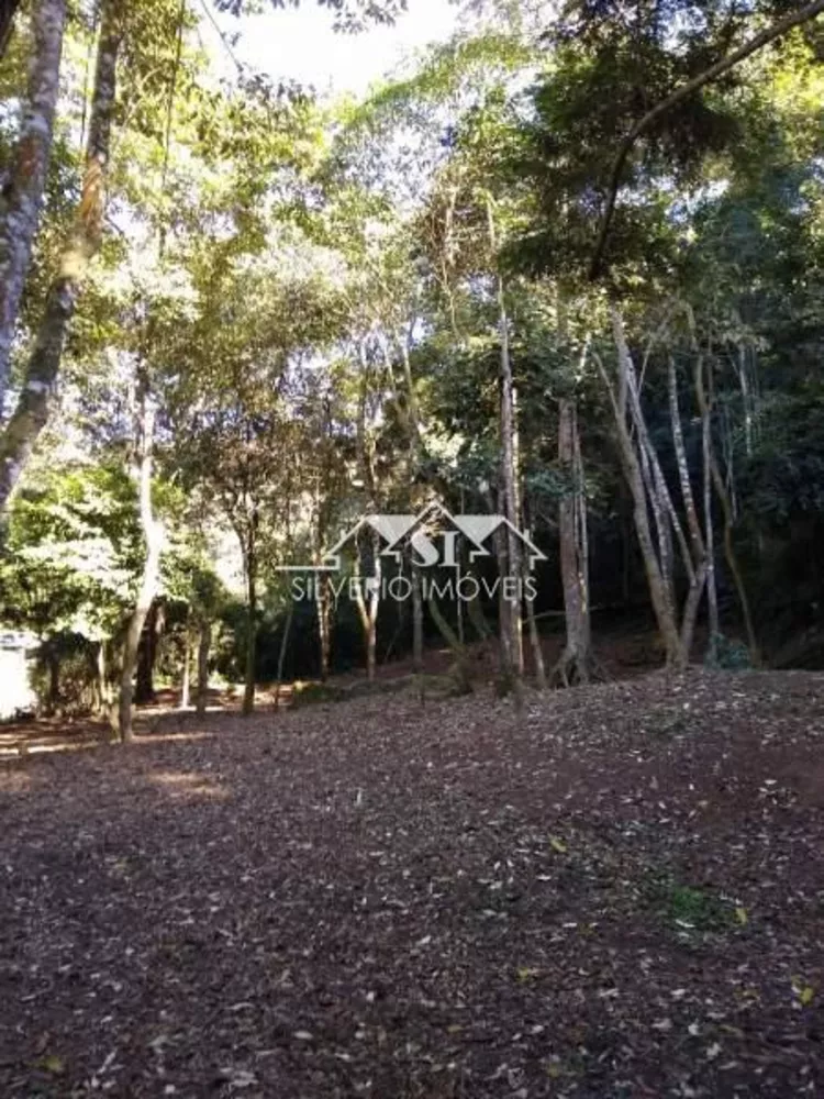 Terreno, 3 hectares - Foto 3