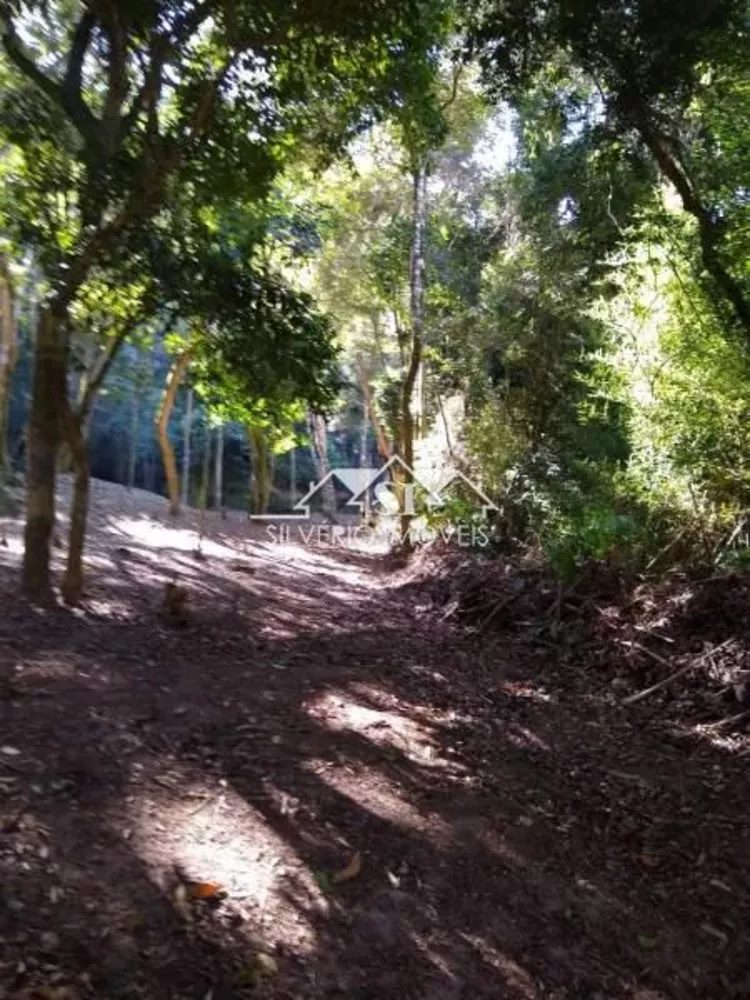 Terreno, 3 hectares - Foto 7