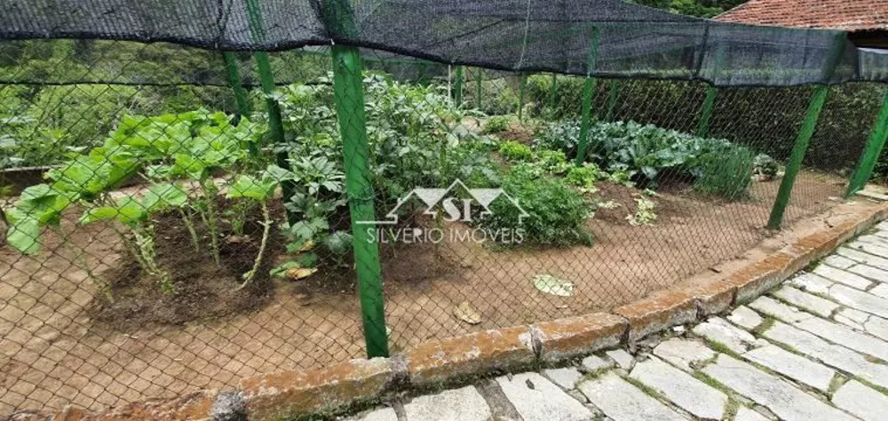 Chácara, 6 quartos, 3 hectares - Foto 6