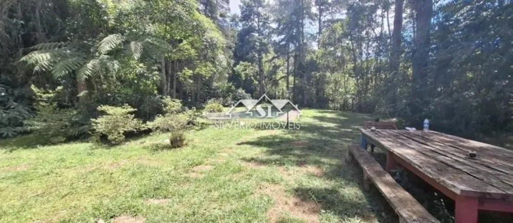 Casa, 4 quartos, 350 m² - Foto 7
