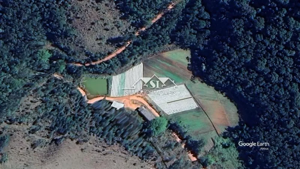 Sítio, 4 quartos, 17 hectares - Foto 25