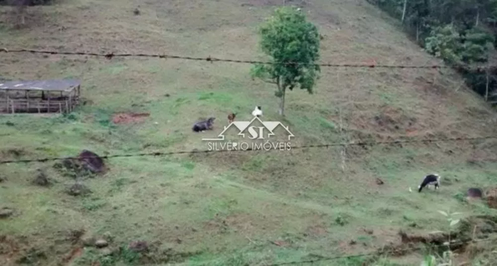 Sítio, 3 quartos, 3 hectares - Foto 5