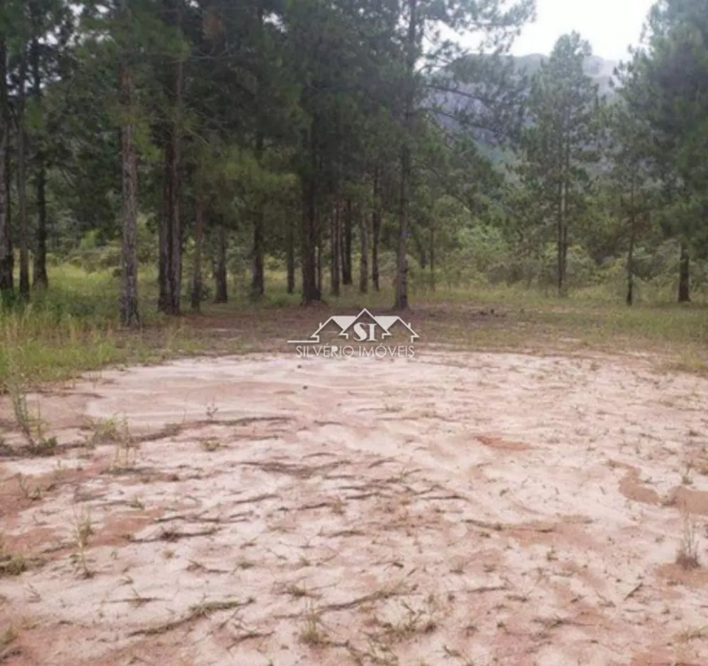 Terreno, 169 hectares - Foto 47