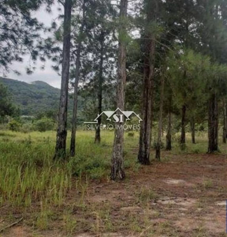 Terreno, 169 hectares - Foto 52