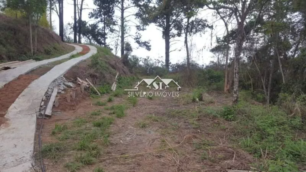Terreno, 169 hectares - Foto 16