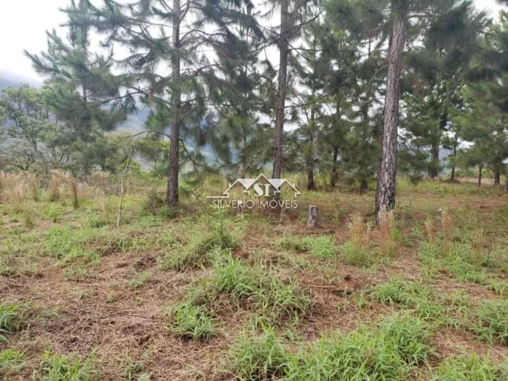 Terreno, 169 hectares - Foto 42