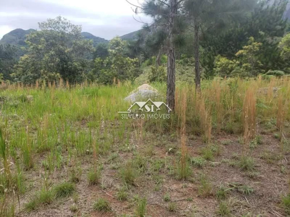 Terreno, 169 hectares - Foto 7