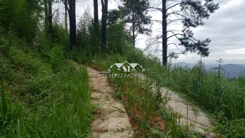 Terreno, 169 hectares - Foto 40