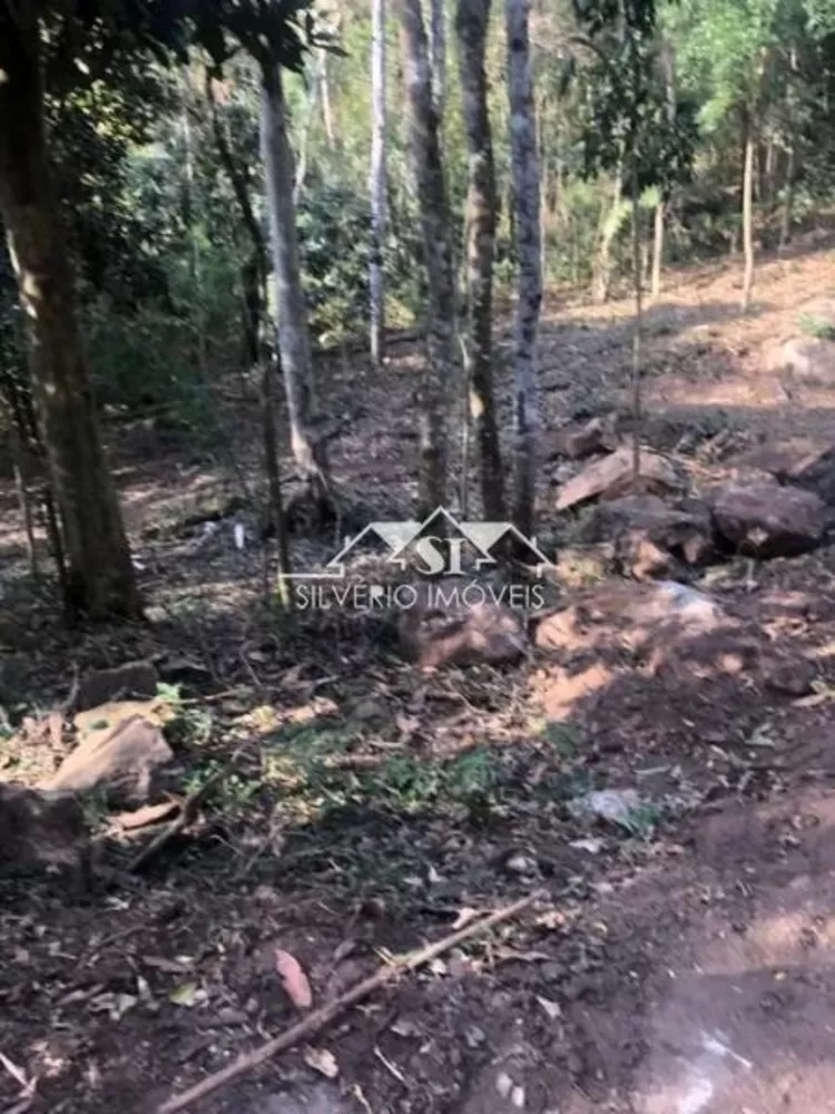 Terreno, 300 m² - Foto 3