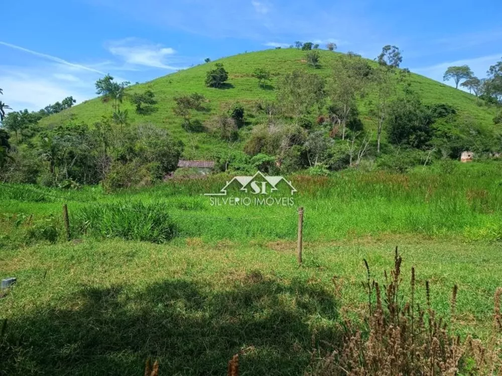 Fazenda, 21 hectares - Foto 8