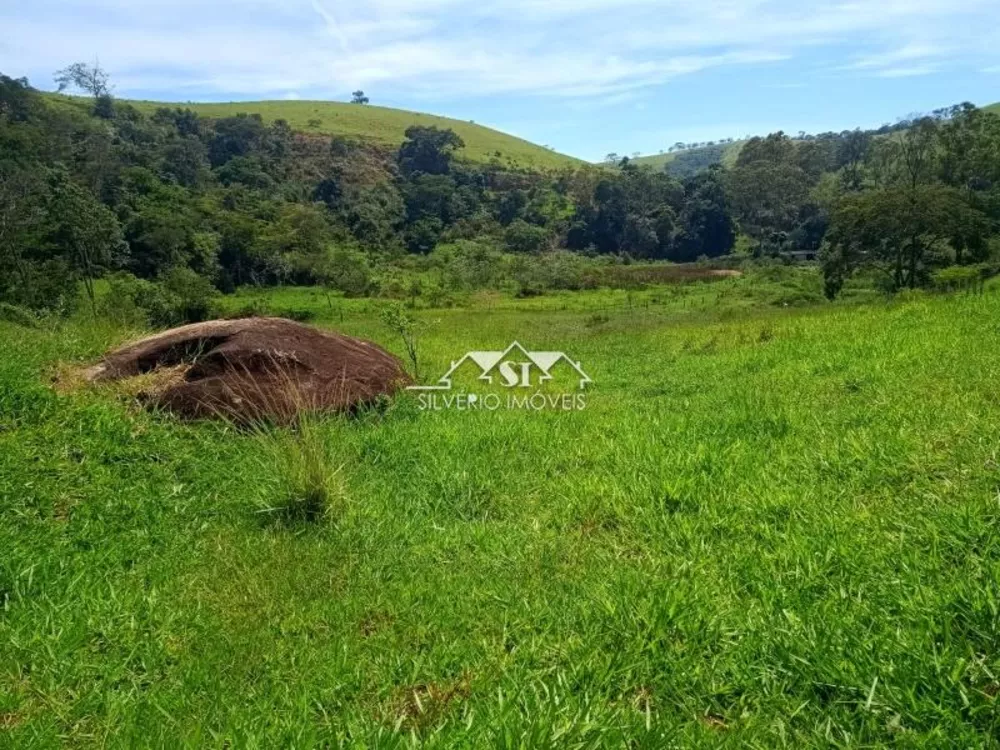 Fazenda, 21 hectares - Foto 21
