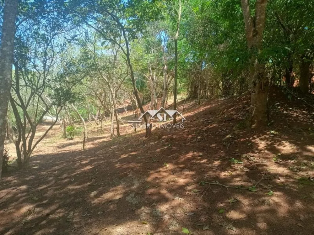 Fazenda, 21 hectares - Foto 17