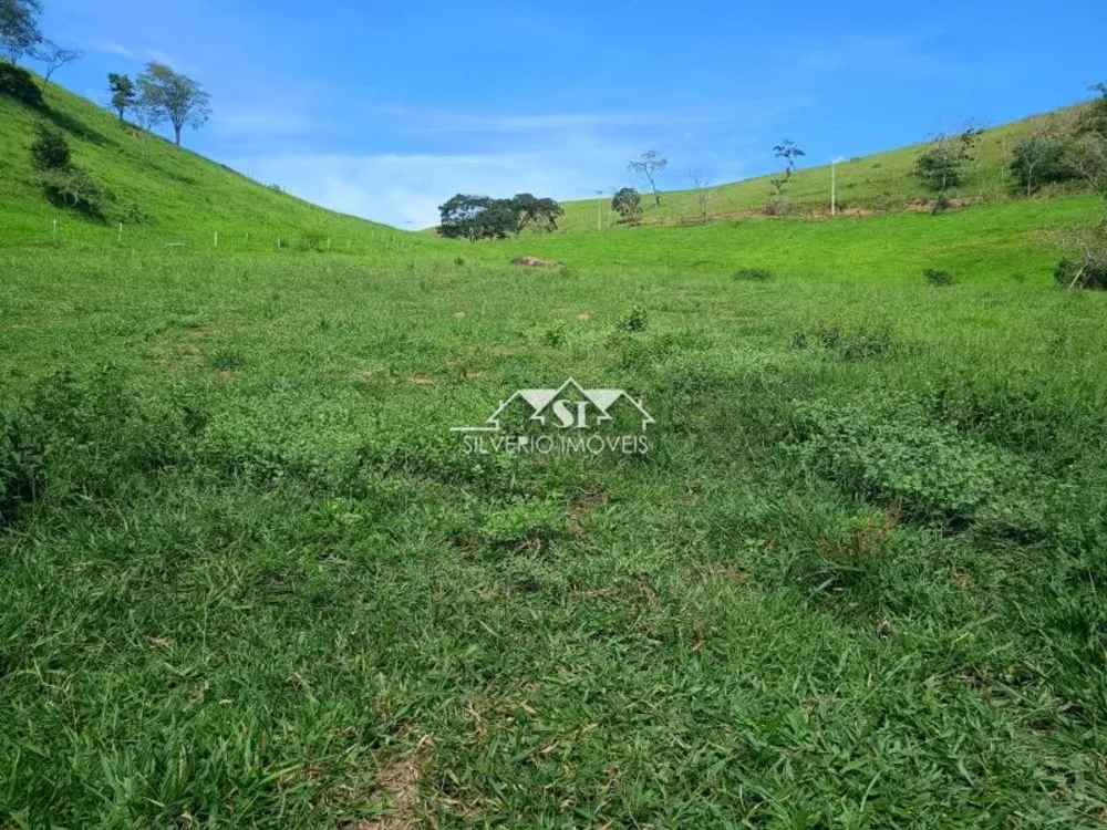 Fazenda, 21 hectares - Foto 11