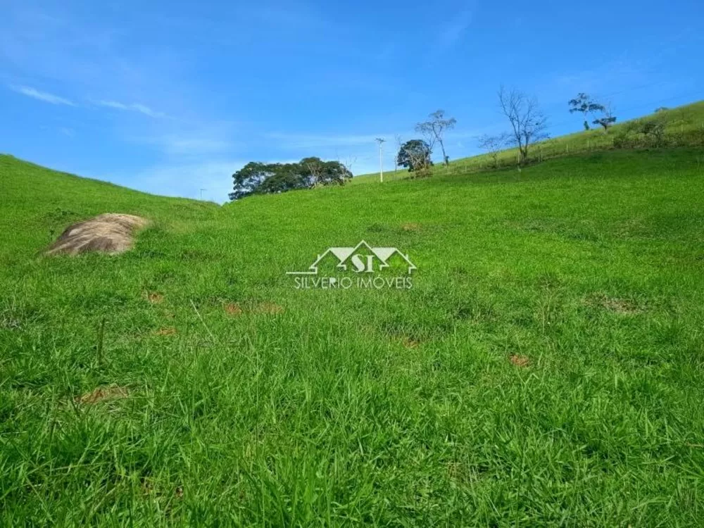 Fazenda, 21 hectares - Foto 7