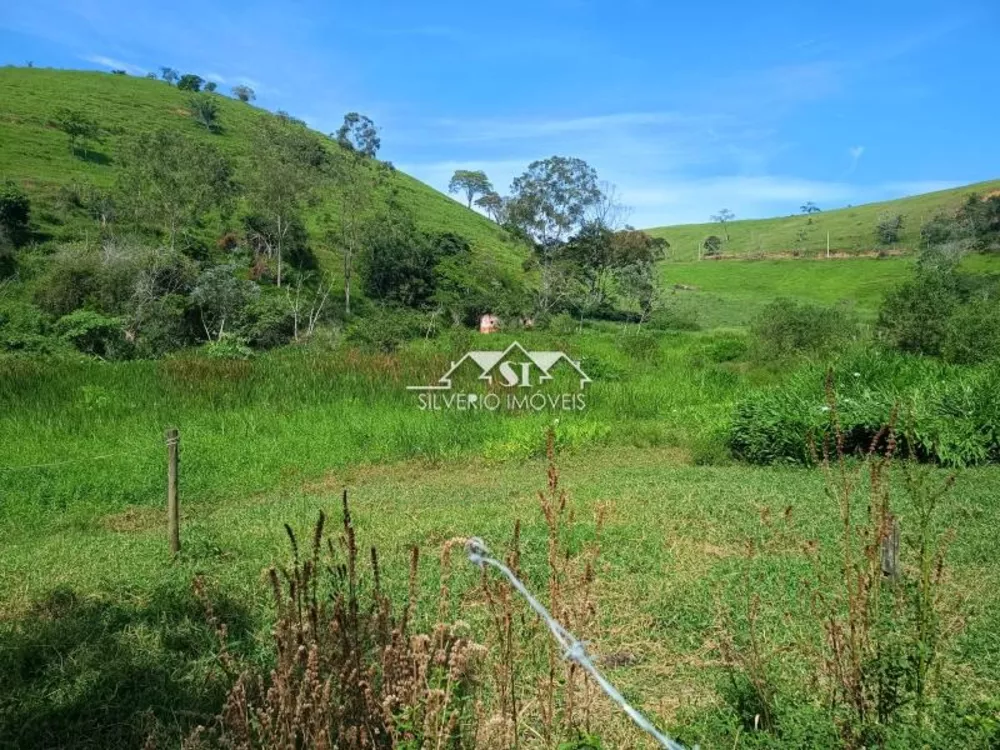 Fazenda, 21 hectares - Foto 27