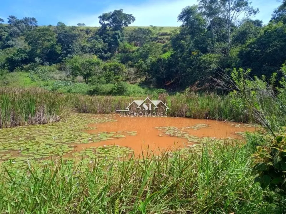 Fazenda, 21 hectares - Foto 6