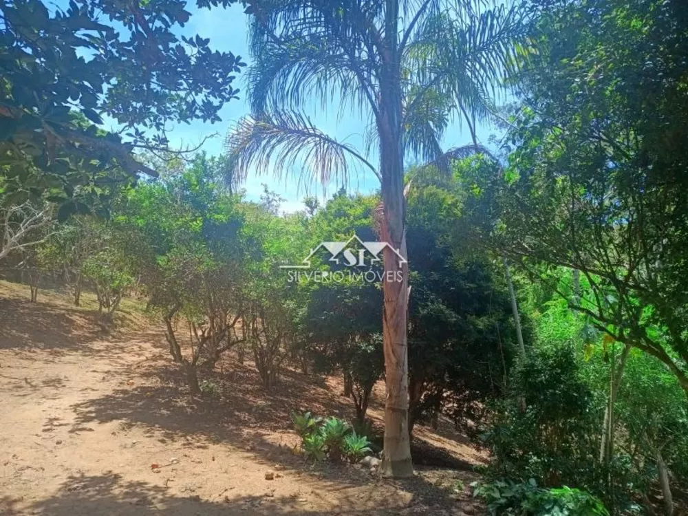 Fazenda, 21 hectares - Foto 26