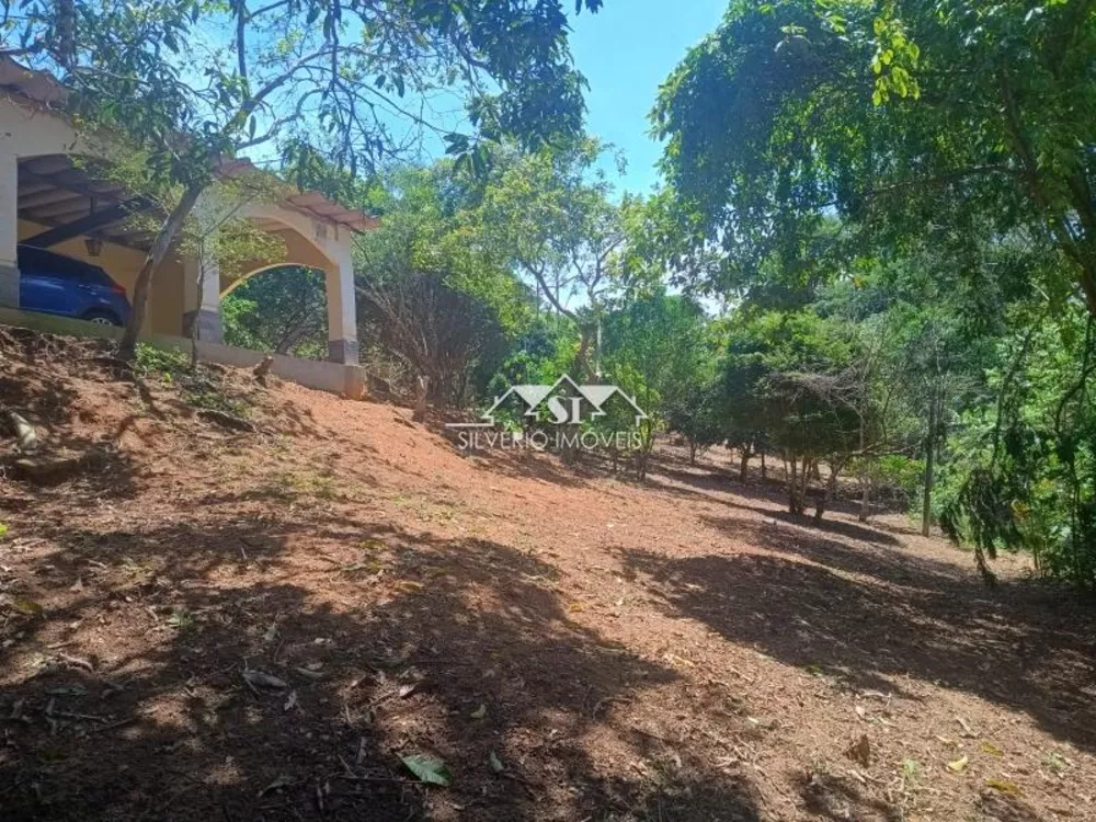 Fazenda, 21 hectares - Foto 5