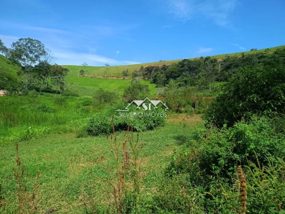 Fazenda, 21 hectares - Foto 41