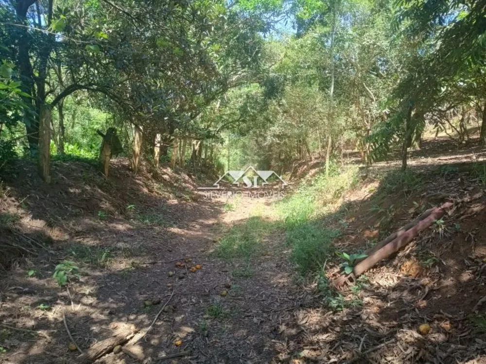 Fazenda, 21 hectares - Foto 9