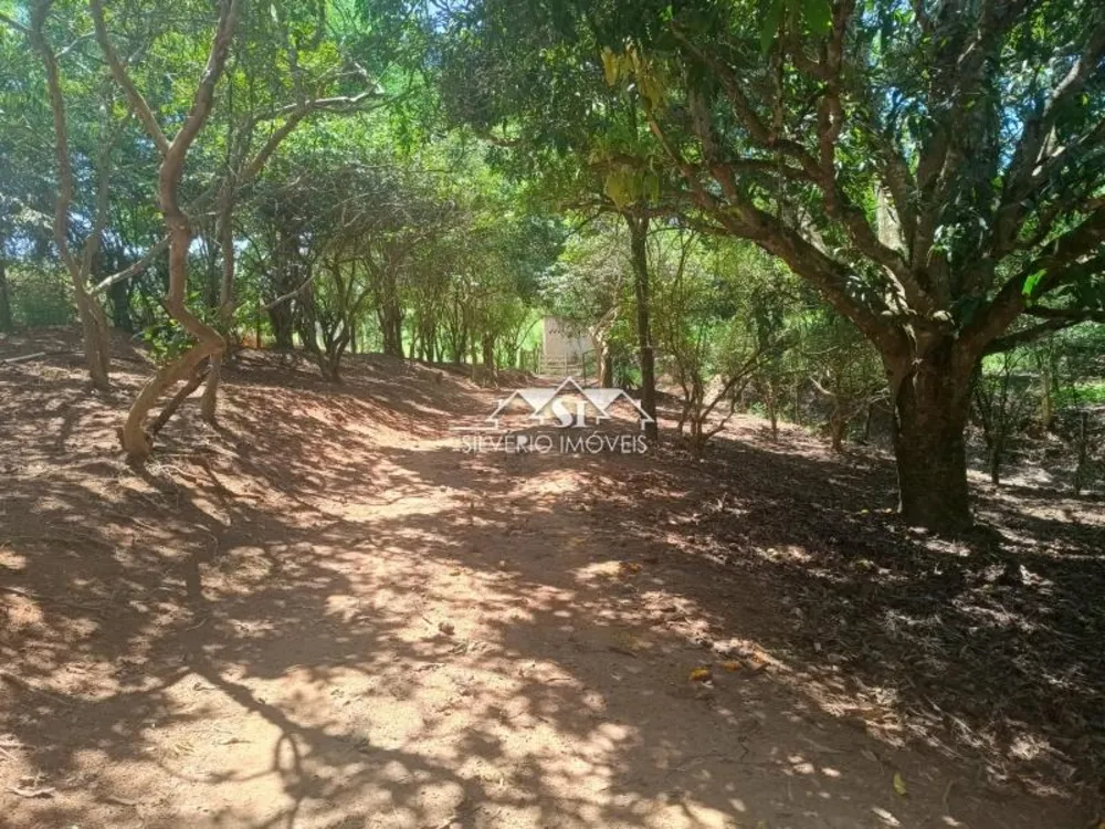 Fazenda, 21 hectares - Foto 4